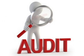 Interní auditoři - procesní audity